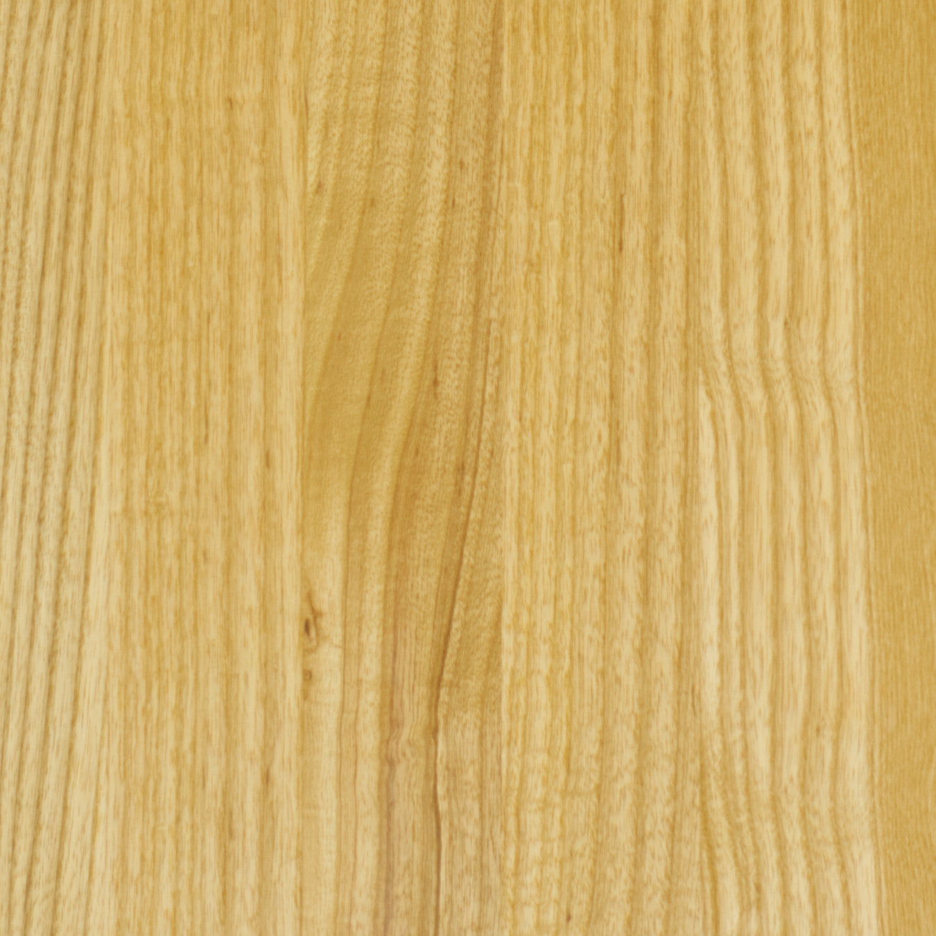 Ash solid wood sample