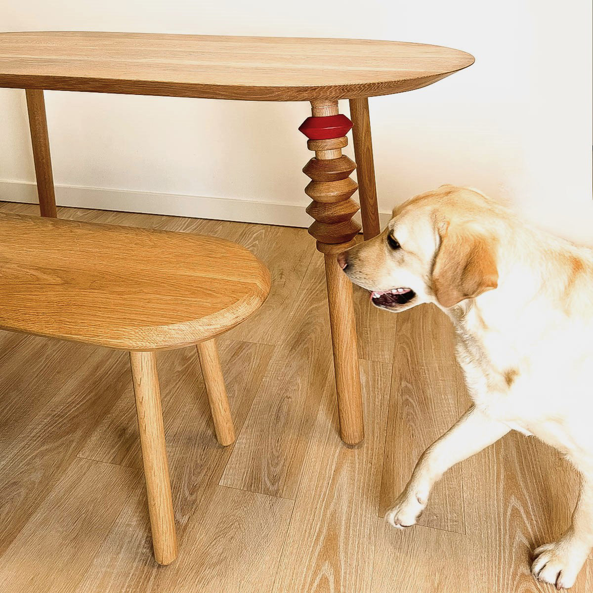 dining table with a matching bench and a dog 